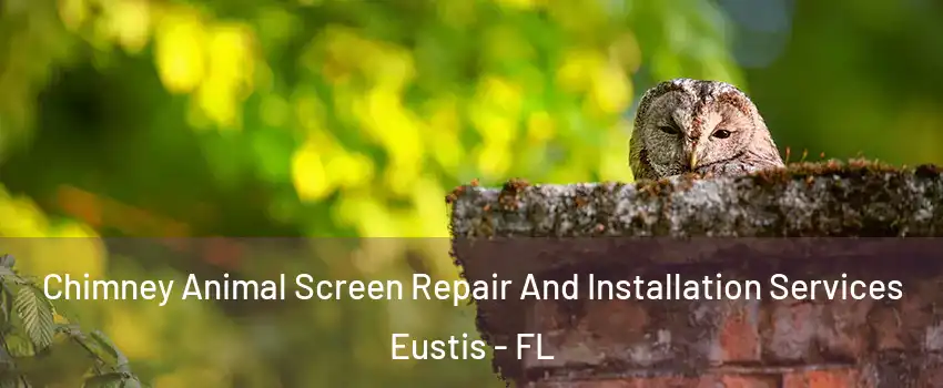  Chimney Animal Screen Repair And Installation Services Eustis - FL