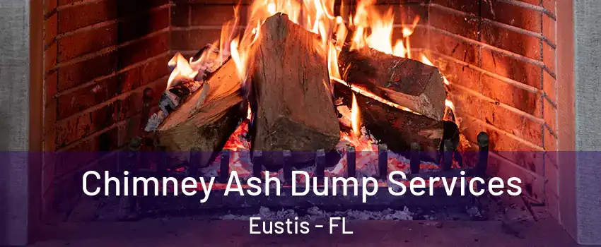  Chimney Ash Dump Services Eustis - FL