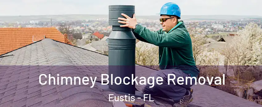  Chimney Blockage Removal Eustis - FL