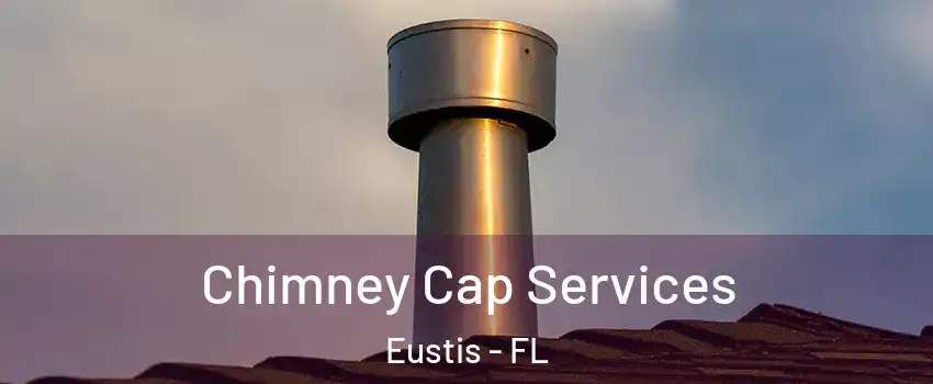  Chimney Cap Services Eustis - FL