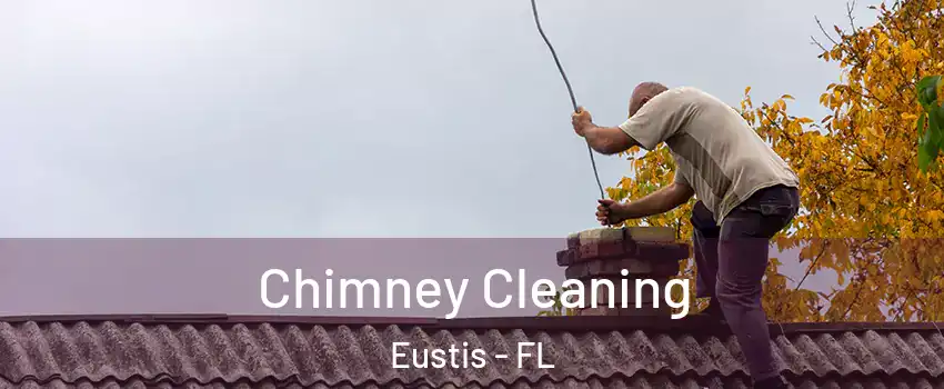  Chimney Cleaning Eustis - FL