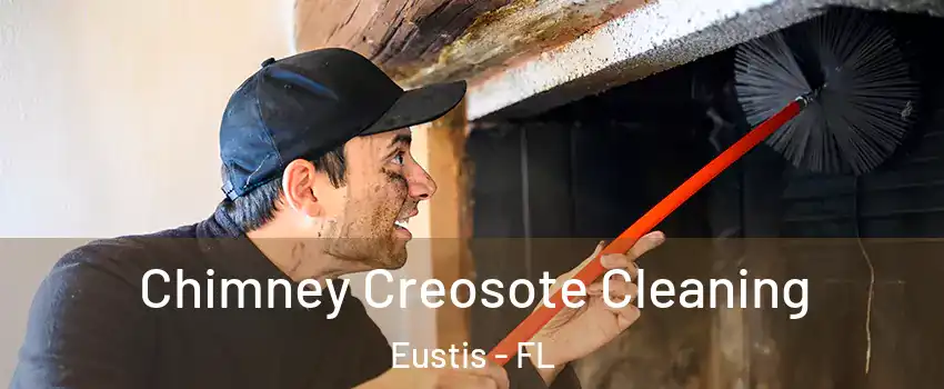  Chimney Creosote Cleaning Eustis - FL