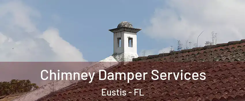  Chimney Damper Services Eustis - FL