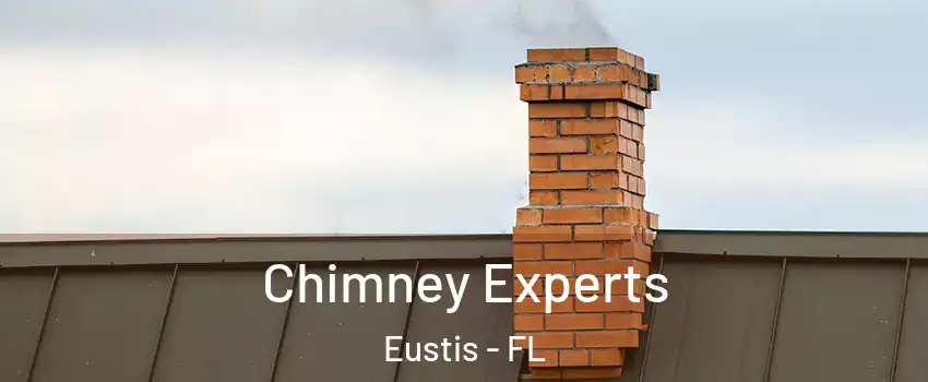  Chimney Experts Eustis - FL