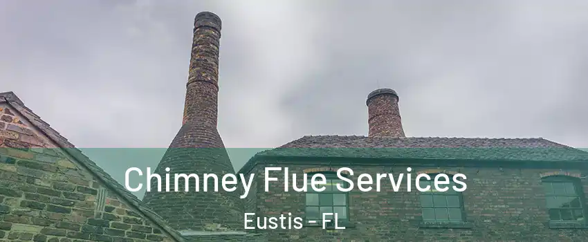  Chimney Flue Services Eustis - FL