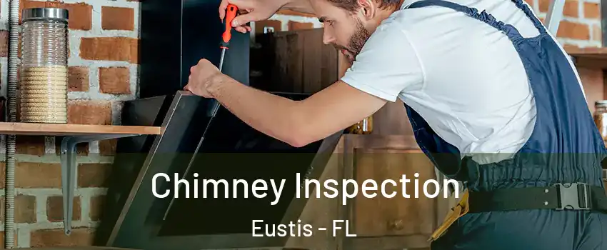  Chimney Inspection Eustis - FL