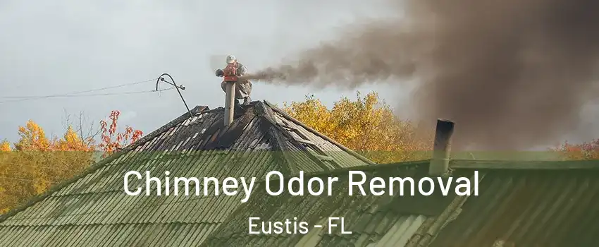  Chimney Odor Removal Eustis - FL