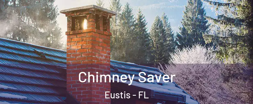  Chimney Saver Eustis - FL