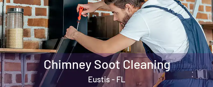  Chimney Soot Cleaning Eustis - FL
