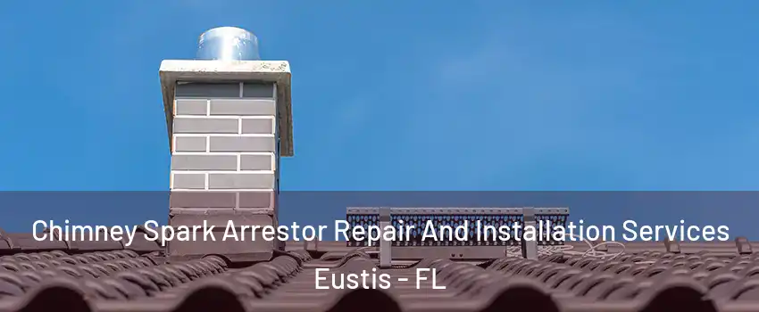  Chimney Spark Arrestor Repair And Installation Services Eustis - FL