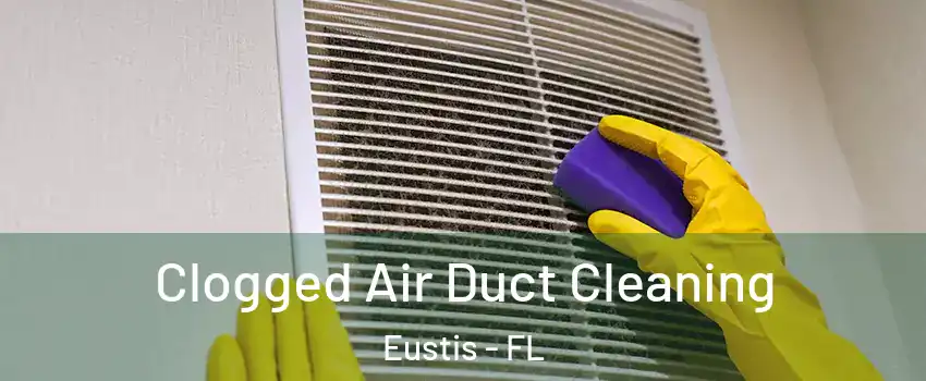  Clogged Air Duct Cleaning Eustis - FL