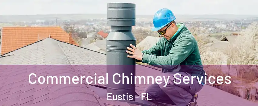  Commercial Chimney Services Eustis - FL