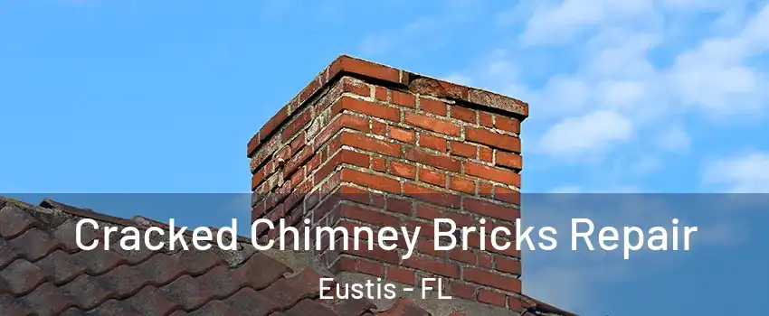  Cracked Chimney Bricks Repair Eustis - FL