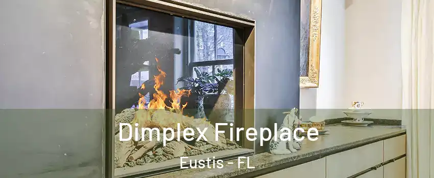  Dimplex Fireplace Eustis - FL