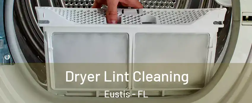  Dryer Lint Cleaning Eustis - FL