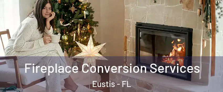  Fireplace Conversion Services Eustis - FL