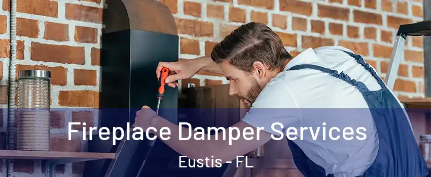  Fireplace Damper Services Eustis - FL