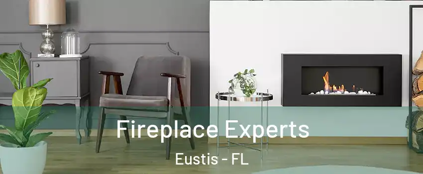  Fireplace Experts Eustis - FL