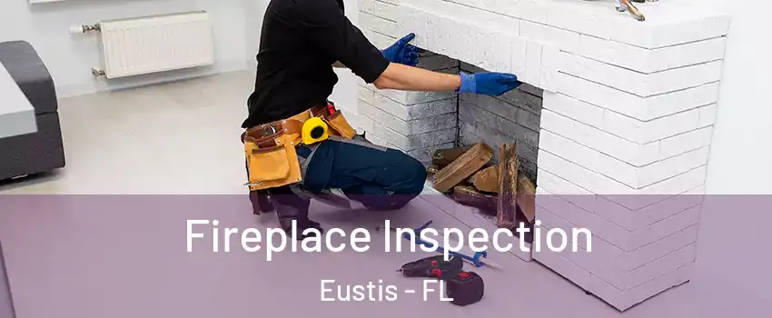  Fireplace Inspection Eustis - FL
