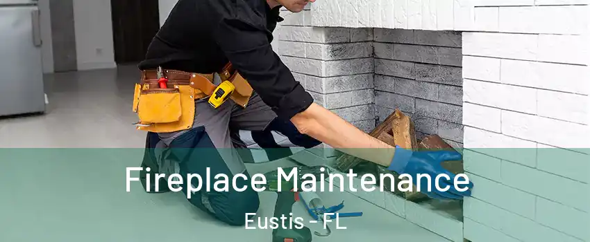  Fireplace Maintenance Eustis - FL