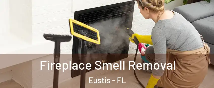  Fireplace Smell Removal Eustis - FL