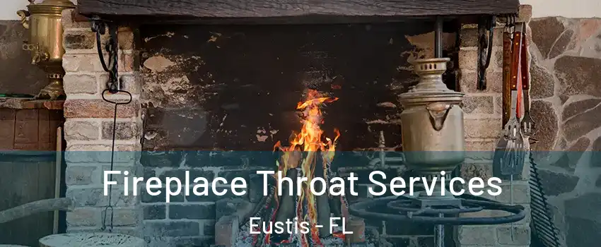  Fireplace Throat Services Eustis - FL