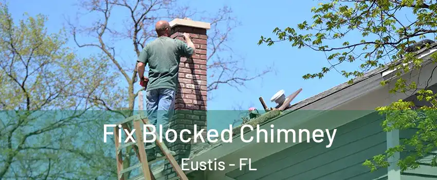  Fix Blocked Chimney Eustis - FL