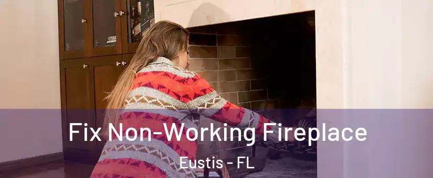  Fix Non-Working Fireplace Eustis - FL
