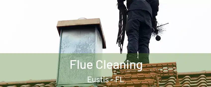  Flue Cleaning Eustis - FL