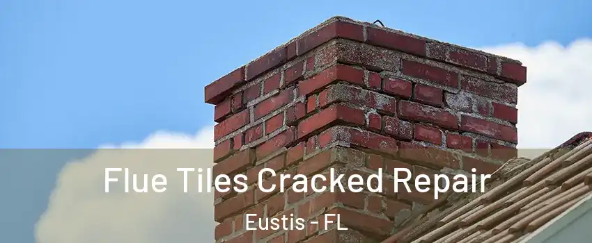  Flue Tiles Cracked Repair Eustis - FL