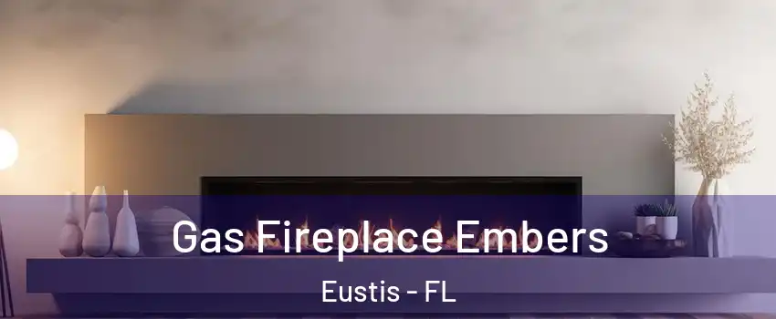  Gas Fireplace Embers Eustis - FL
