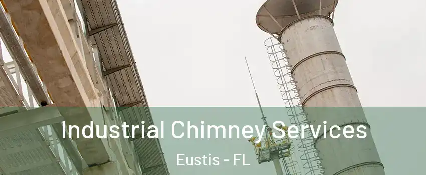  Industrial Chimney Services Eustis - FL