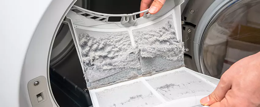 Best Dryer Lint Removal Company in Eustis, Florida