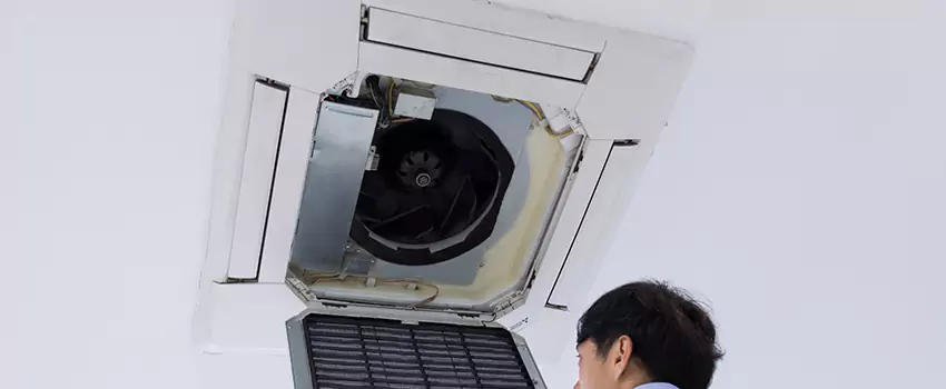 Benefits of Professional Air Duct Cleaning in Eustis, Florida