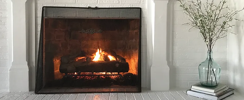 Cost-Effective Fireplace Mantel Inspection And Maintenance in Eustis, FL