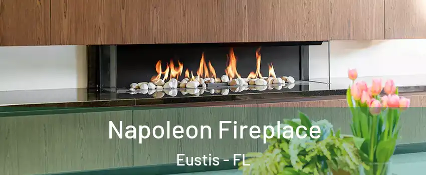  Napoleon Fireplace Eustis - FL
