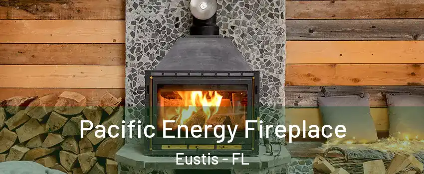  Pacific Energy Fireplace Eustis - FL