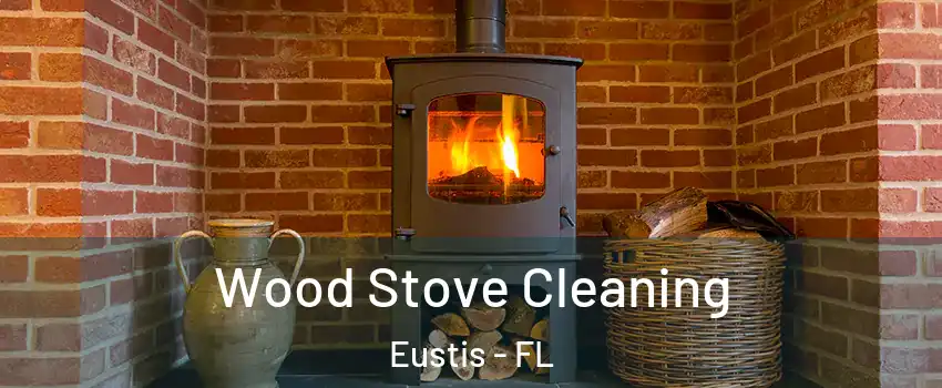  Wood Stove Cleaning Eustis - FL